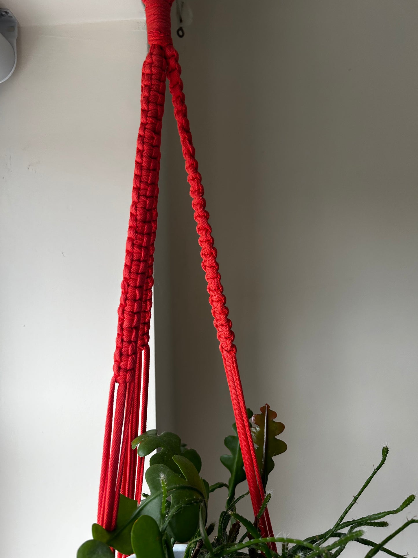 Macrame Plant Hanger Coral