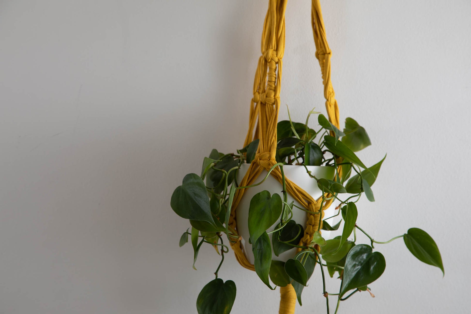 Buy Online Premium Quality and Beautiful Giant Macrame Plant Hanger - Hotpinkhangers