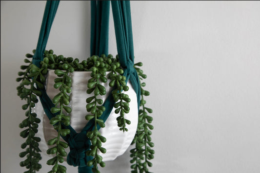 Elevate Your Home Decor with Sustainable Macrame Plant Hangers