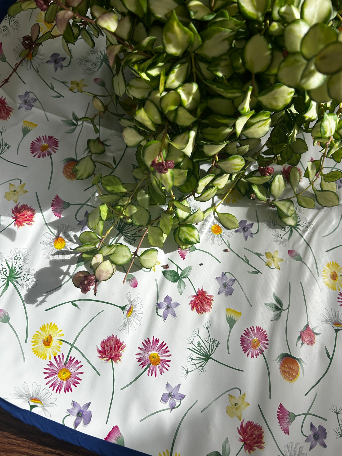 Potting Mats - Various Designs