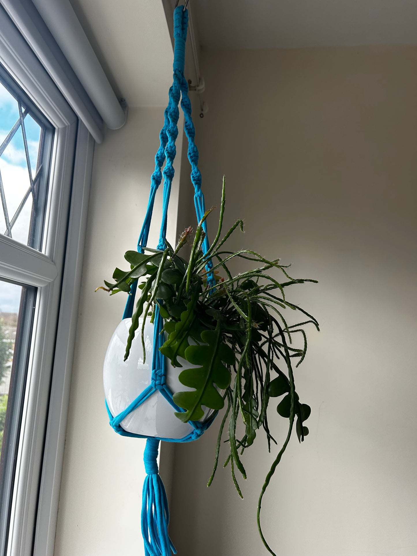 Macrame Hanger Twisted Cyan