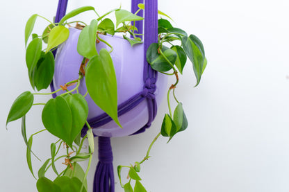 RHS Malvern Macrame Workshop 2025
