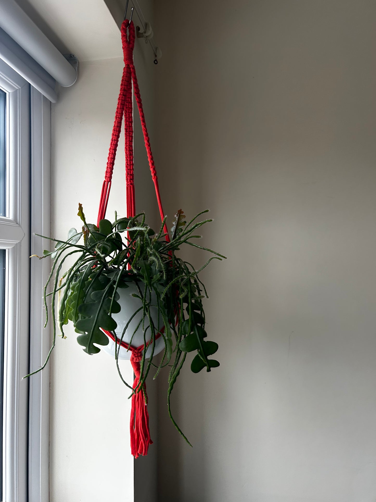 Macrame Plant Hanger Coral