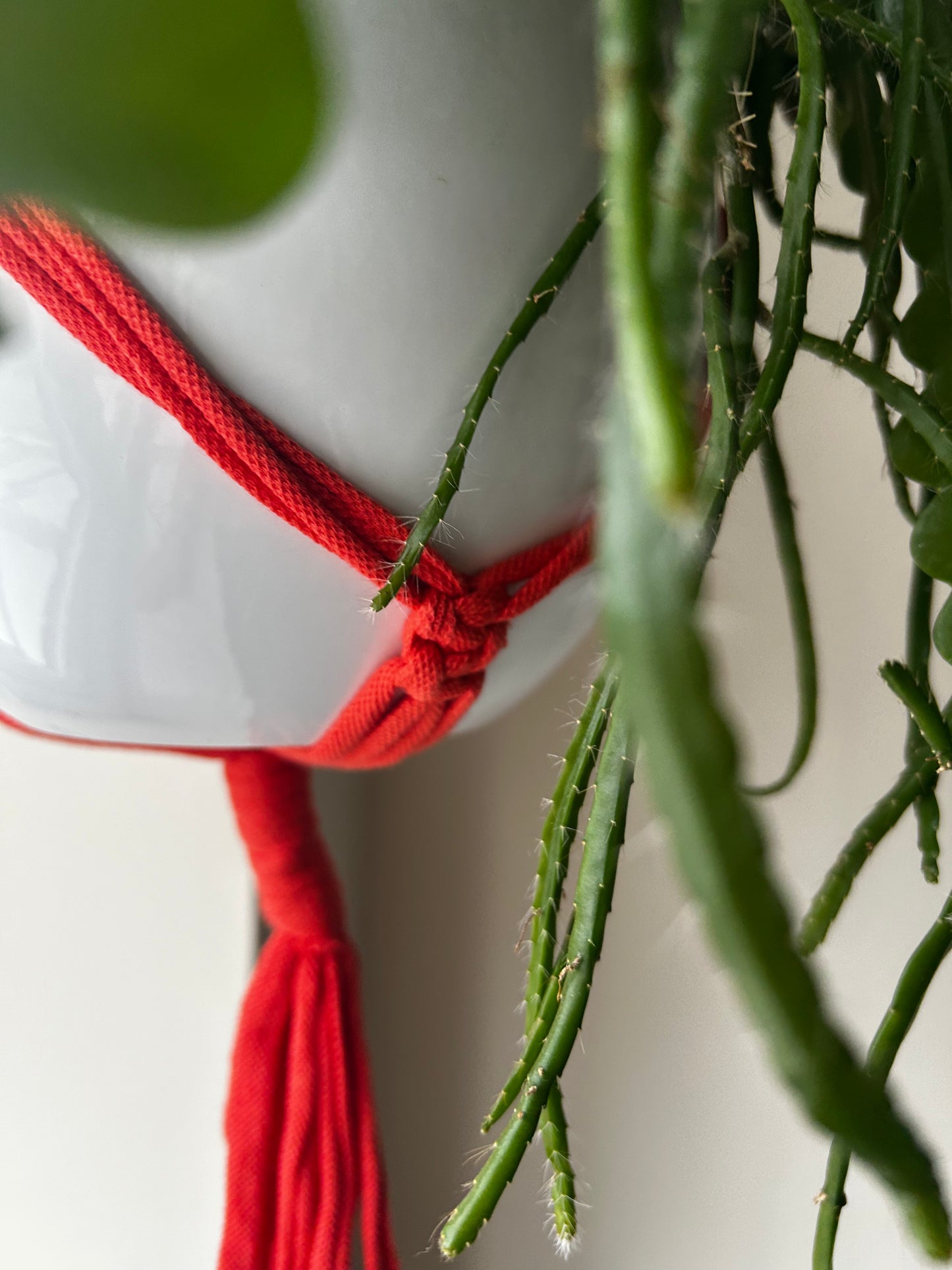 Macrame Plant Hanger Coral