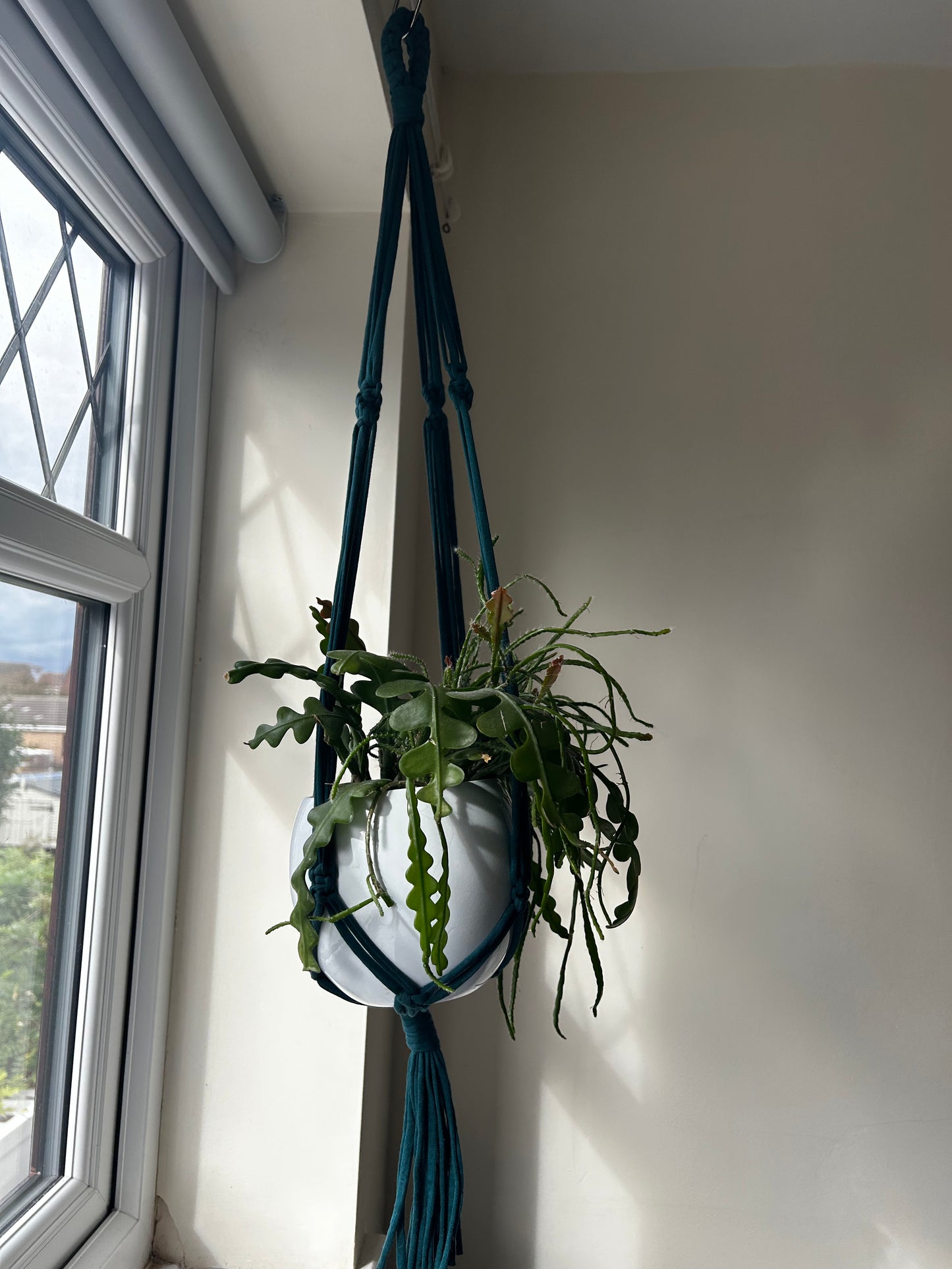 Macrame Plant Hanger Dark teal