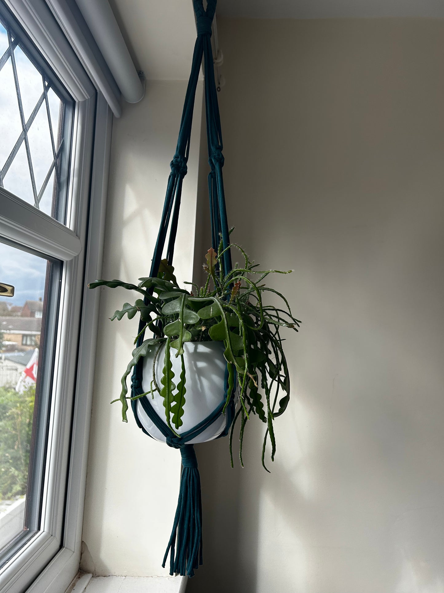 Macrame Plant Hanger Dark teal