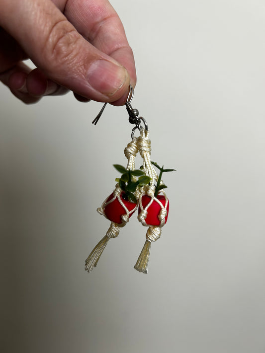 Macrame Hanger Earrings White/Red