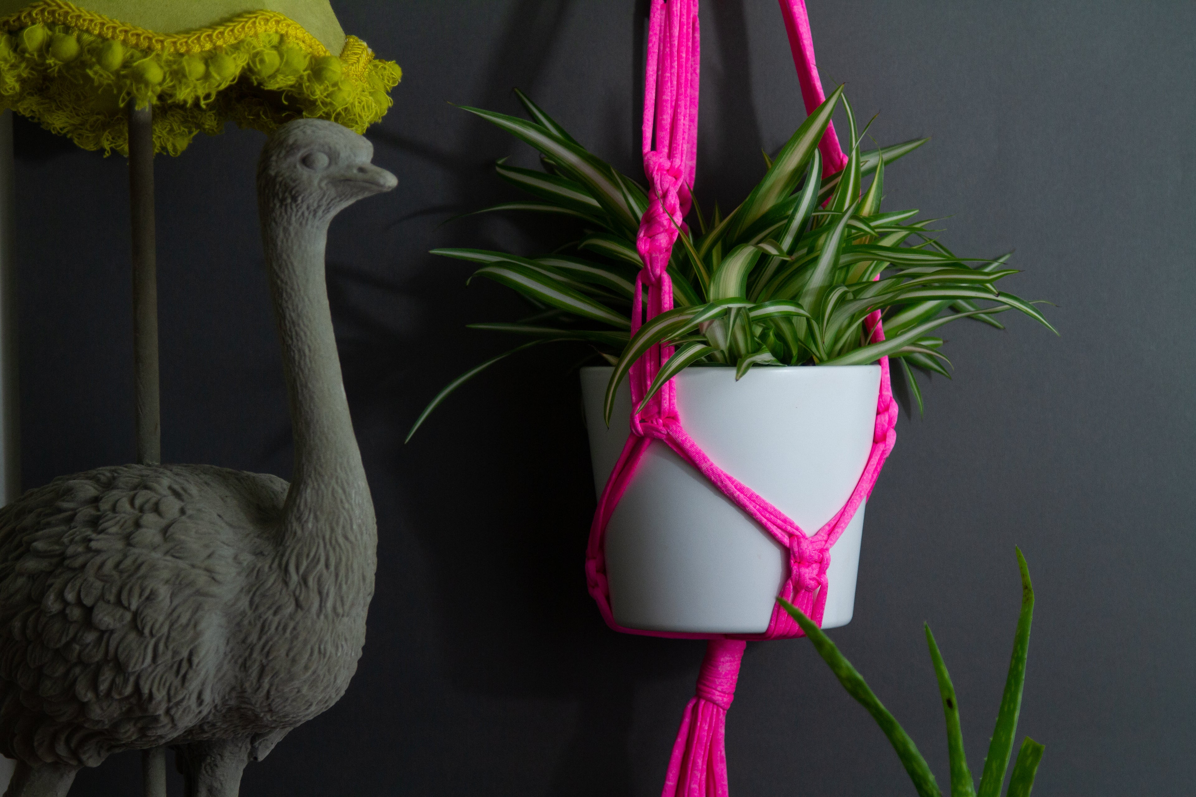 Shop Online Beautiful Macrame Plant Holders