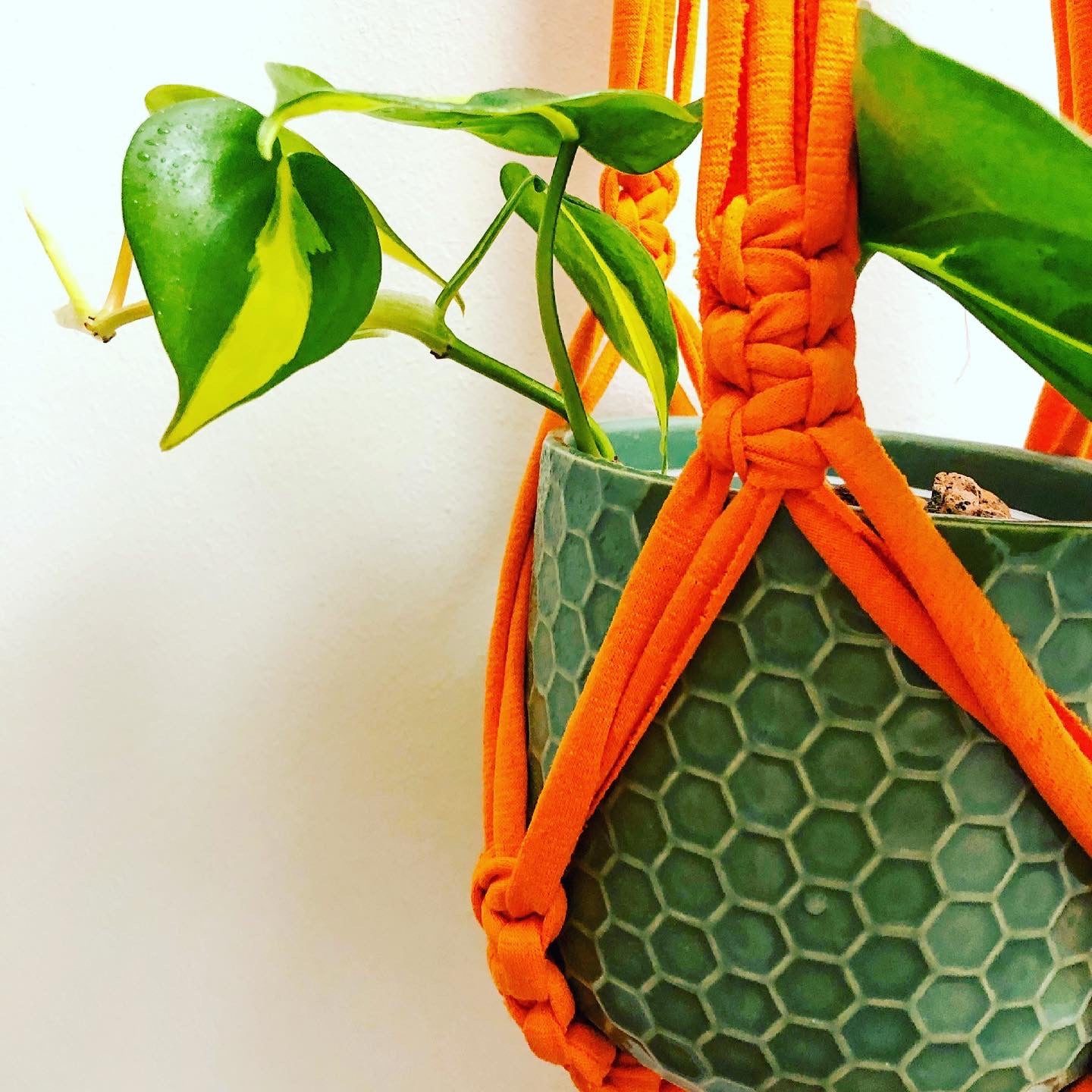 Buy Online Premium Quality and Beautiful Macrame Plant Hanger - Orange - Hotpinkhangers