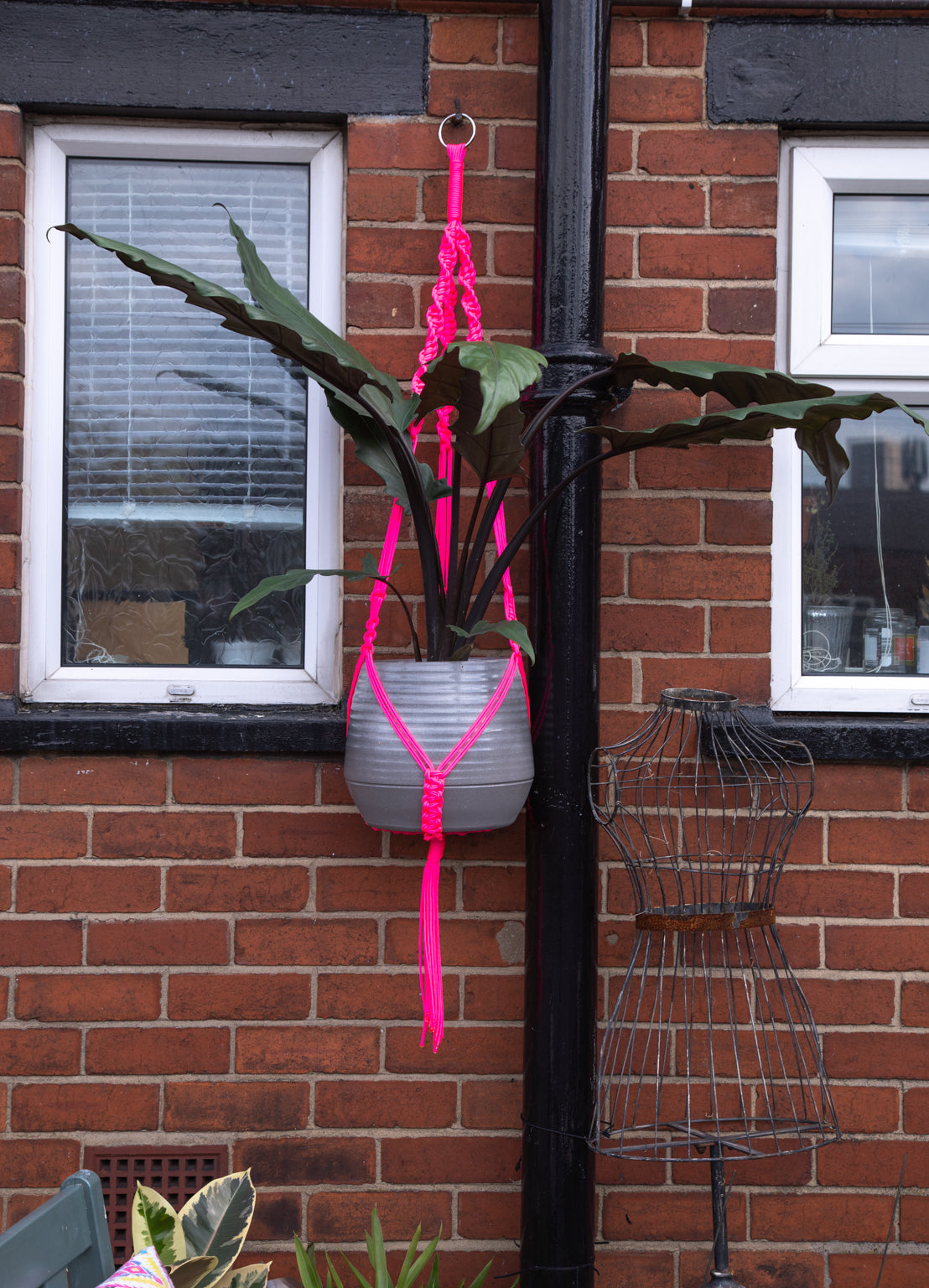 Buy Online Premium Quality and Beautiful Giant Macrame Plant Hanger - Hotpinkhangers