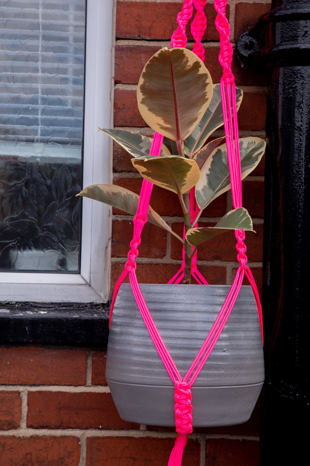 Buy Online Premium Quality and Beautiful Giant Macrame Plant Hanger - Hotpinkhangers