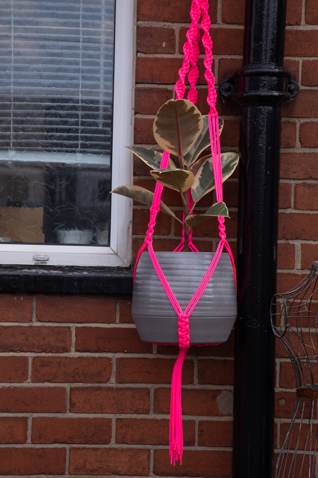 Buy Online Premium Quality and Beautiful Giant Macrame Plant Hanger - Hotpinkhangers