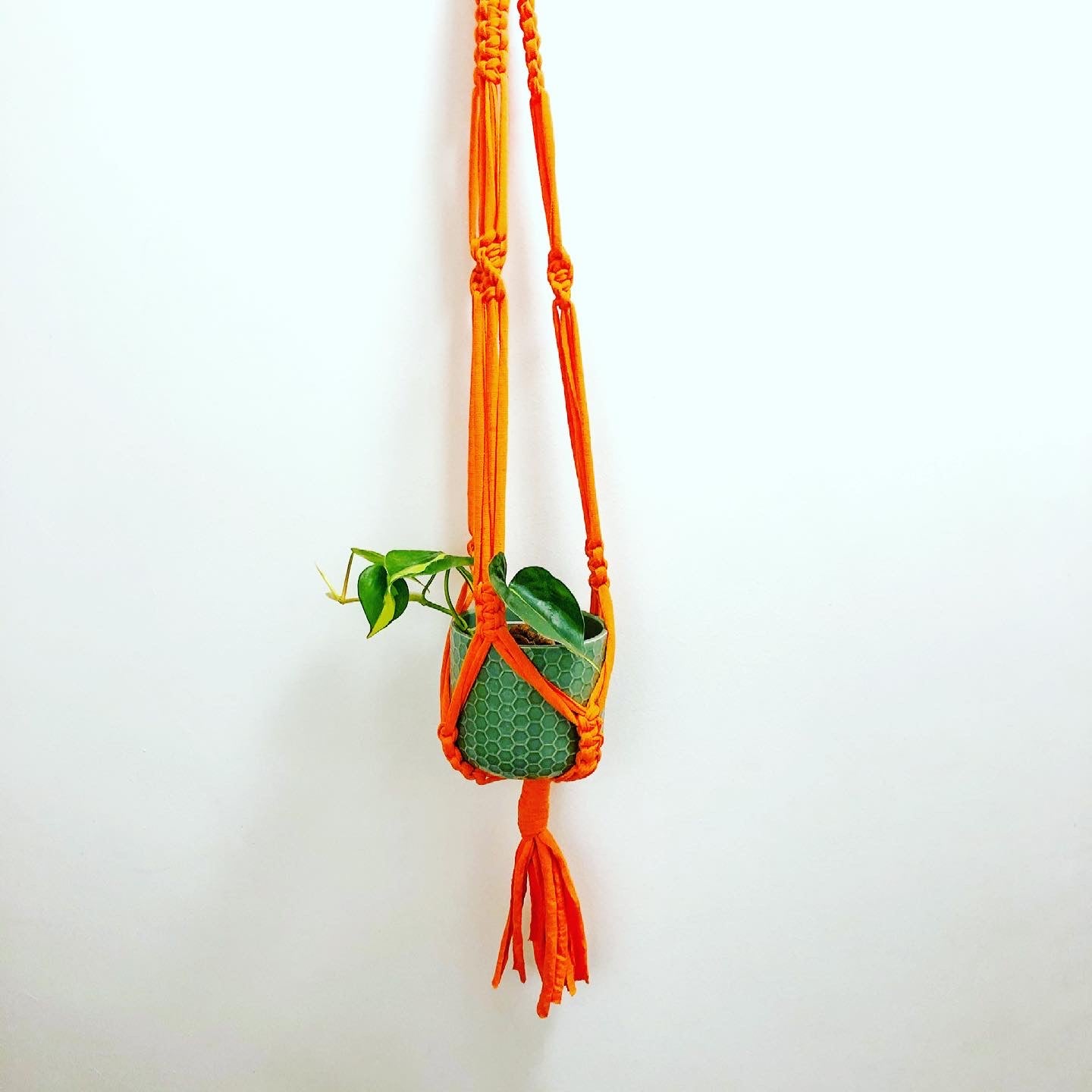 Buy Online Premium Quality and Beautiful Macrame Plant Hanger - Orange - Hotpinkhangers