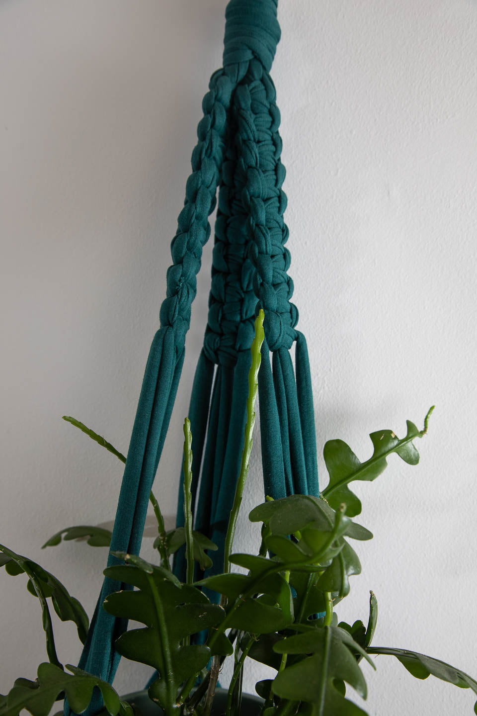 Buy Online Premium Quality and Beautiful Chunky Deep Emerald  Macrame Plant Hanger - Hotpinkhangers