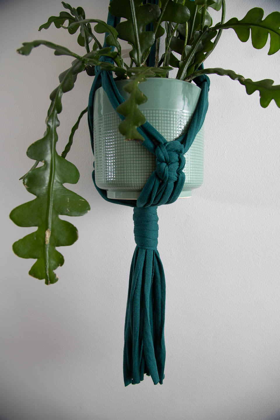 Buy Online Premium Quality and Beautiful Chunky Deep Emerald  Macrame Plant Hanger - Hotpinkhangers