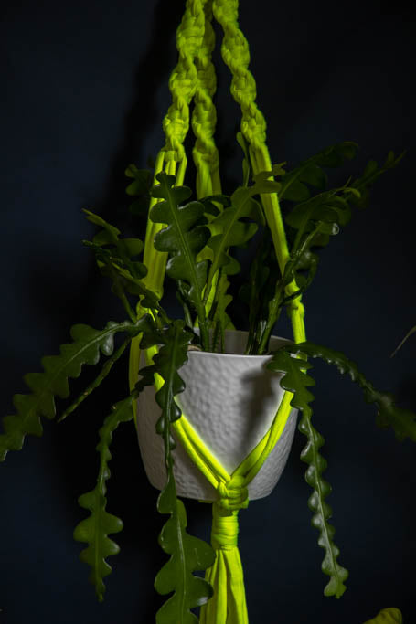 Buy Online Premium Quality and Beautiful Macrame Plant  Hanger -Neon Yellow Limited Collection - Hotpinkhangers