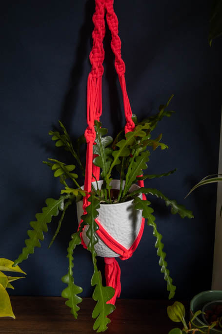 Buy Online Premium Quality and Beautiful Macrame Plant  Hanger -Neon Pink Limited Collection - Hotpinkhangers