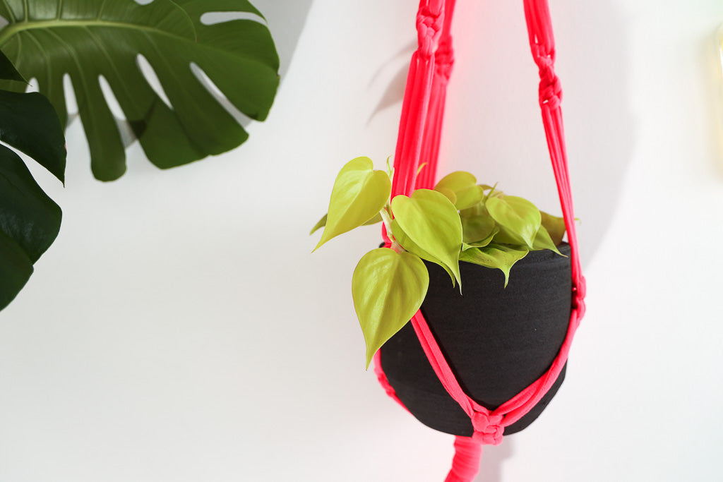 Buy Online Premium Quality and Beautiful Macrame Plant  Hanger -Neon Pink Limited Collection - Hotpinkhangers