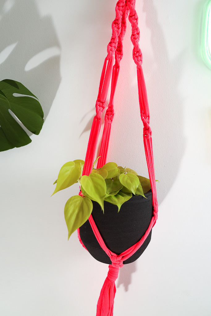 Buy Online Premium Quality and Beautiful Macrame Plant  Hanger -Neon Pink Limited Collection - Hotpinkhangers