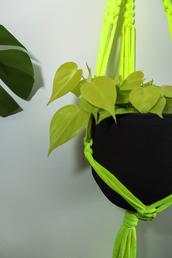 Buy Online Premium Quality and Beautiful Macrame Plant  Hanger -Neon Yellow Limited Collection - Hotpinkhangers