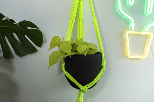 Buy Online Premium Quality and Beautiful Macrame Plant  Hanger -Neon Yellow Limited Collection - Hotpinkhangers