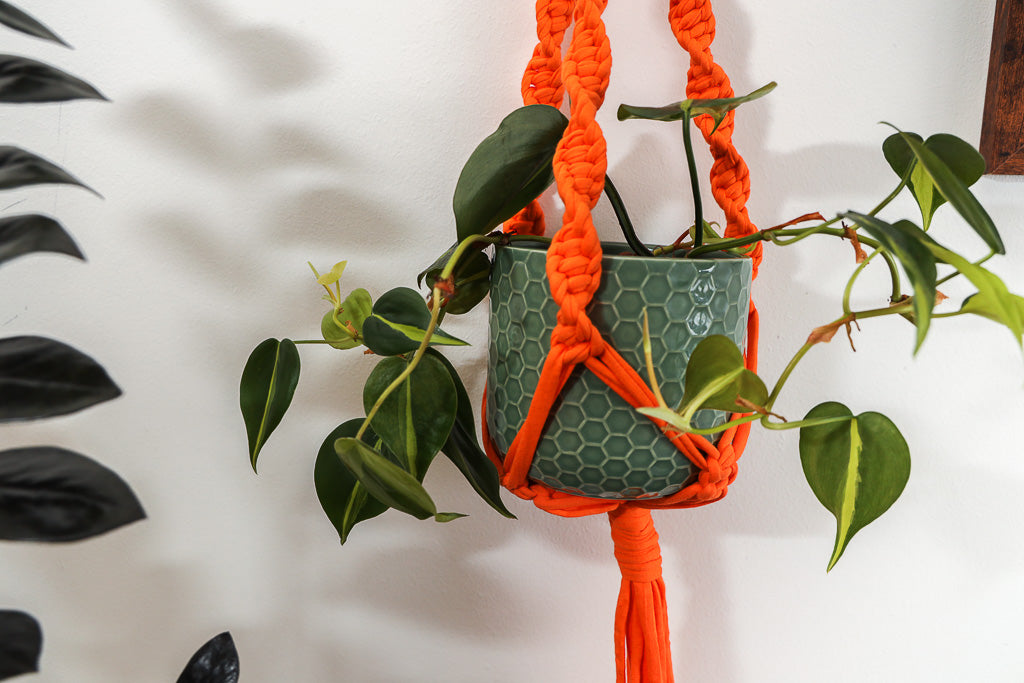 Buy Online Premium Quality and Beautiful Macrame Plant  Hanger -Orange  Limited Collection - Hotpinkhangers