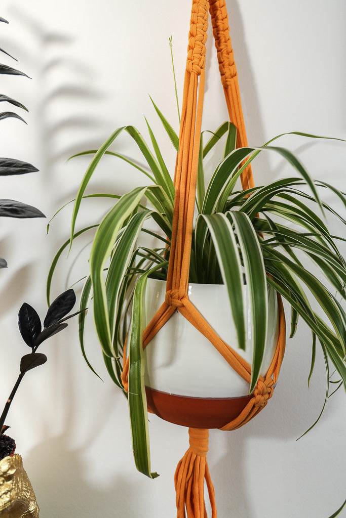 Buy Online Premium Quality and Beautiful Macrame Plant  Hanger - Light Orange - Hotpinkhangers