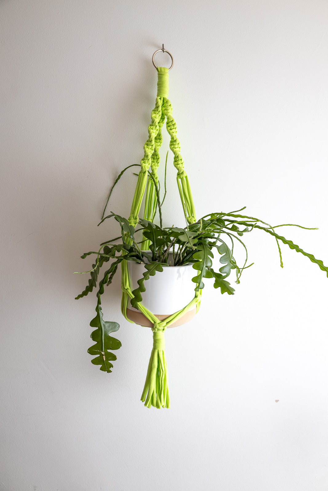 Macrame Plant Hanger Chunky Neon Green