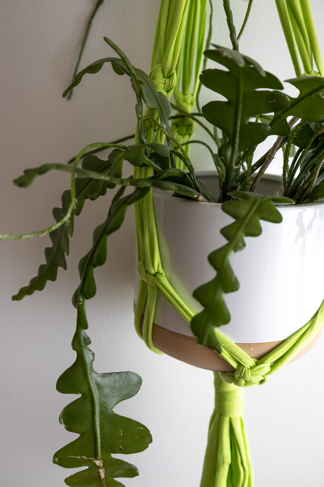 Macrame Plant Hanger Chunky Neon Green