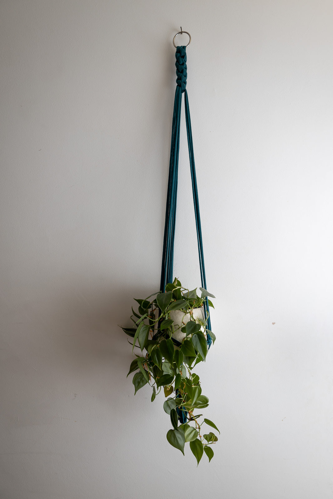 Macrame Hanger Twisted Dark Teal