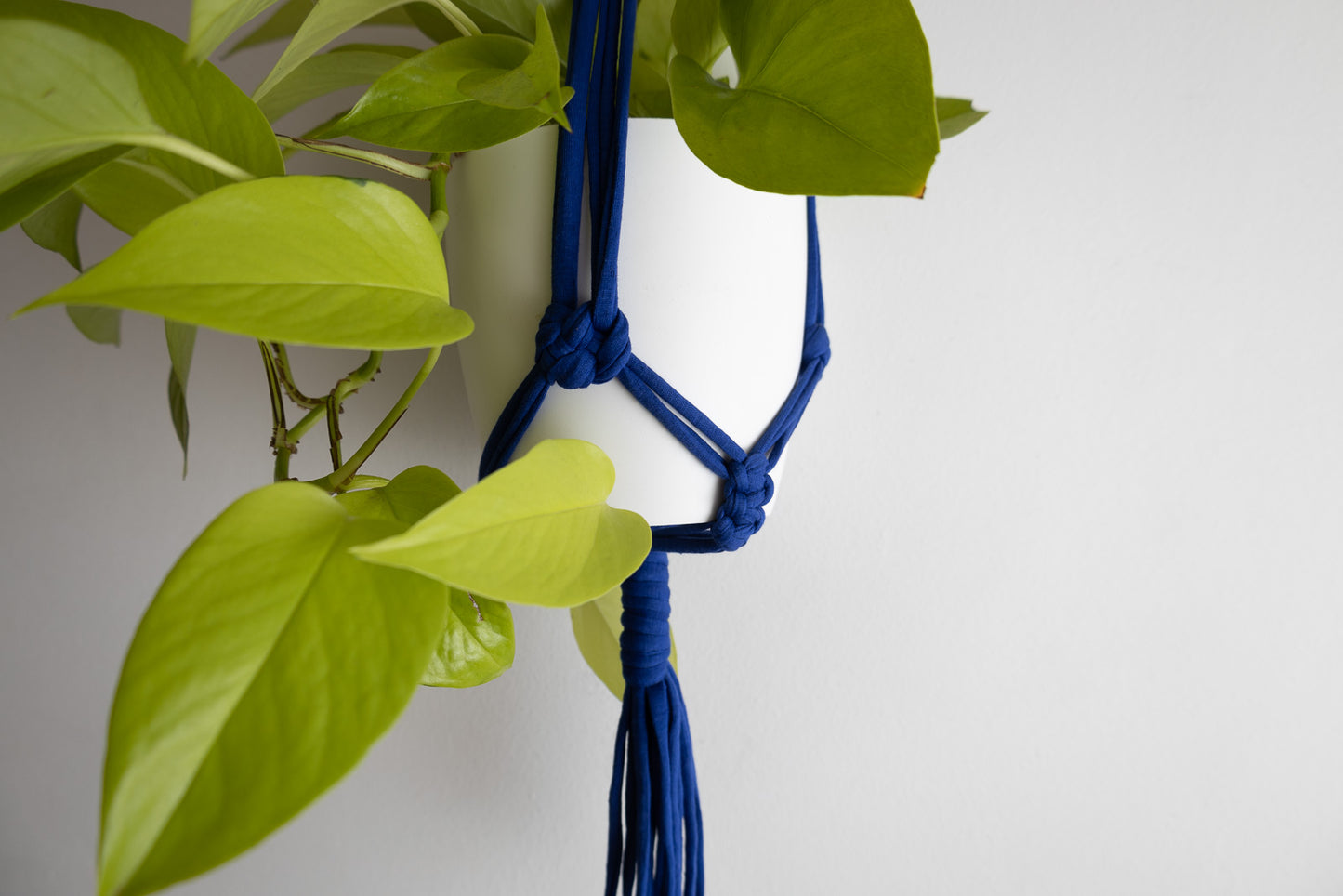 Macrame Plant Hanger Royal Blue