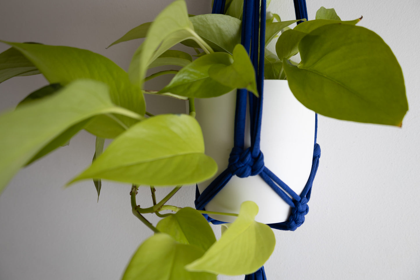 Macrame Plant Hanger Royal Blue