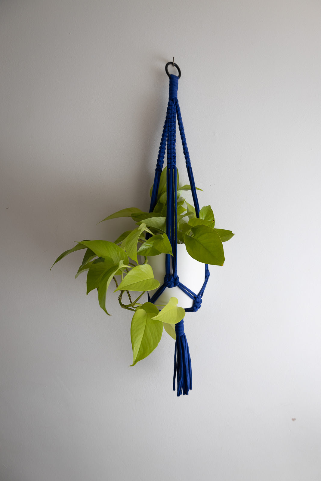 Macrame Plant Hanger Royal Blue