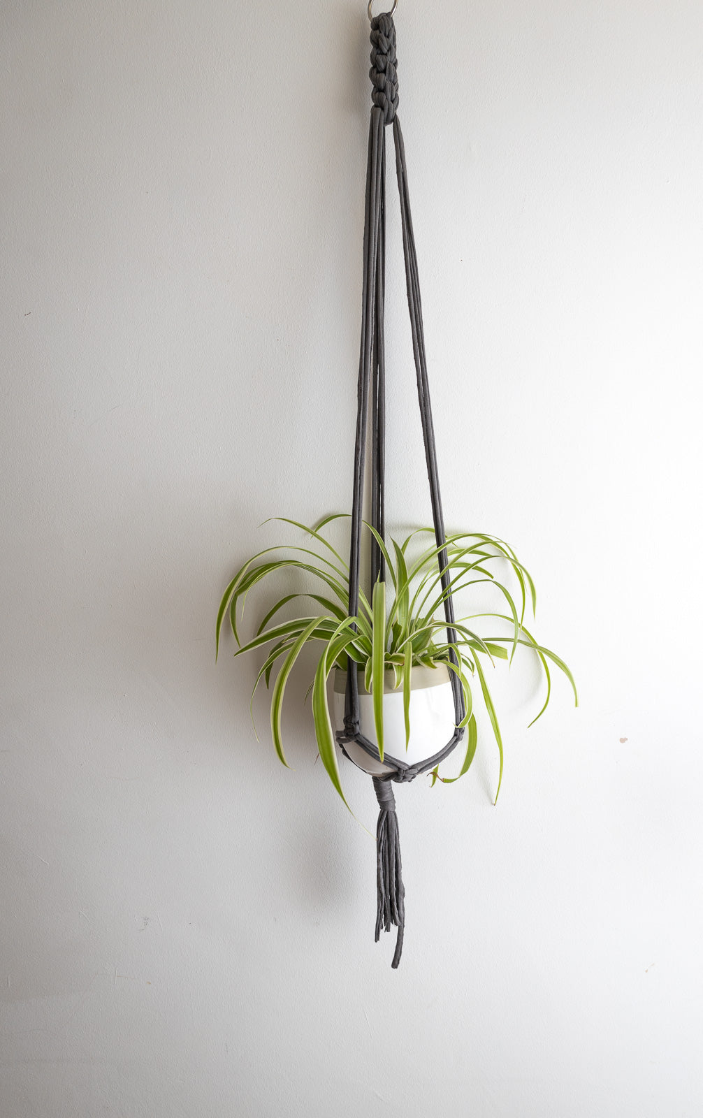 Macrame Hanger Twisted Grey