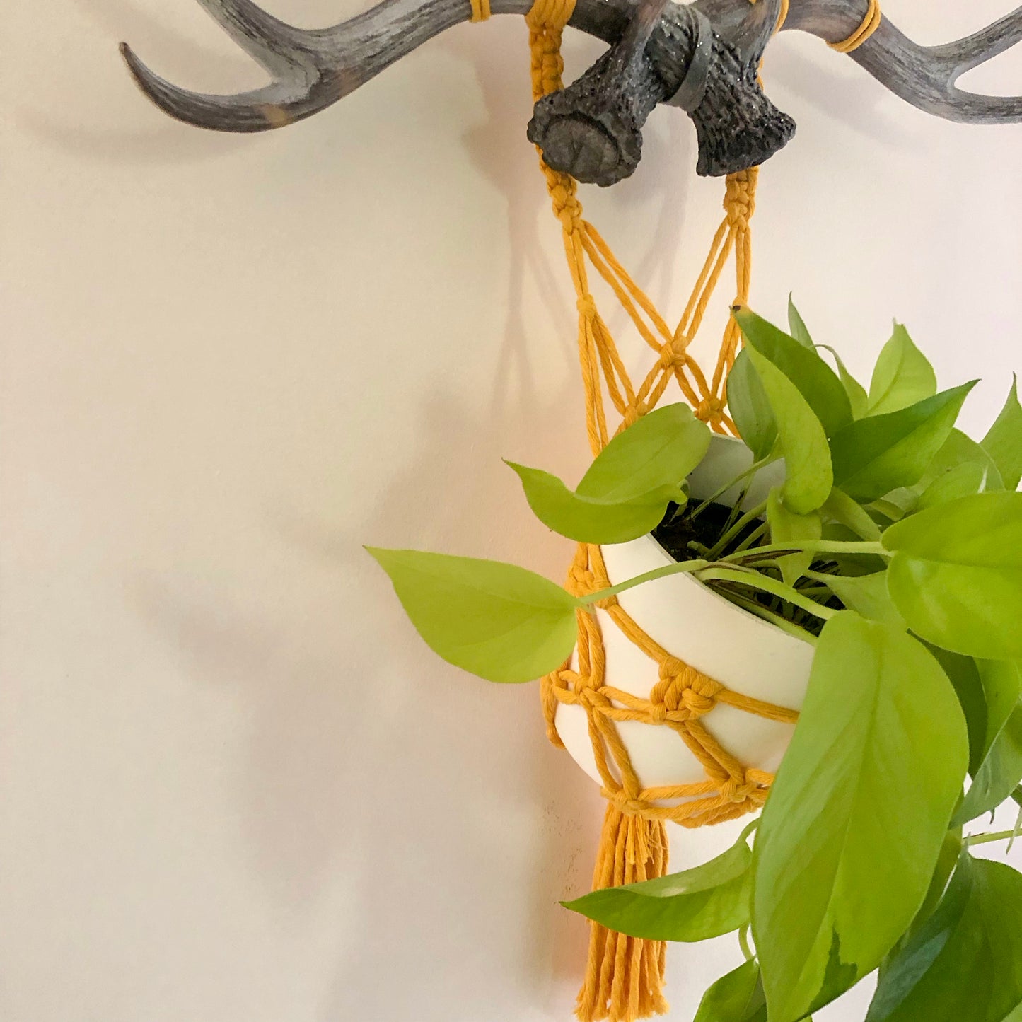 Macrame plant holder with antlers