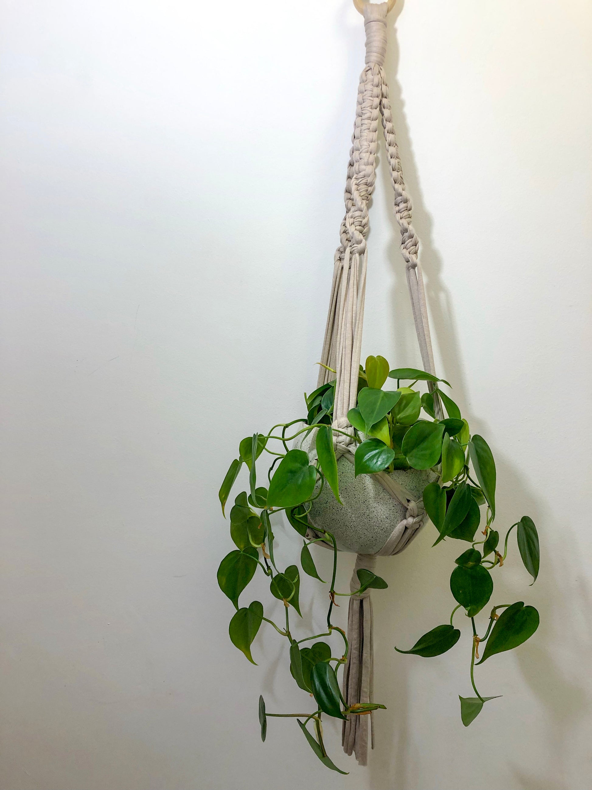 Buy Online Premium Quality and Beautiful Soft Beige Macrame Plant Hanger - Hotpinkhangers