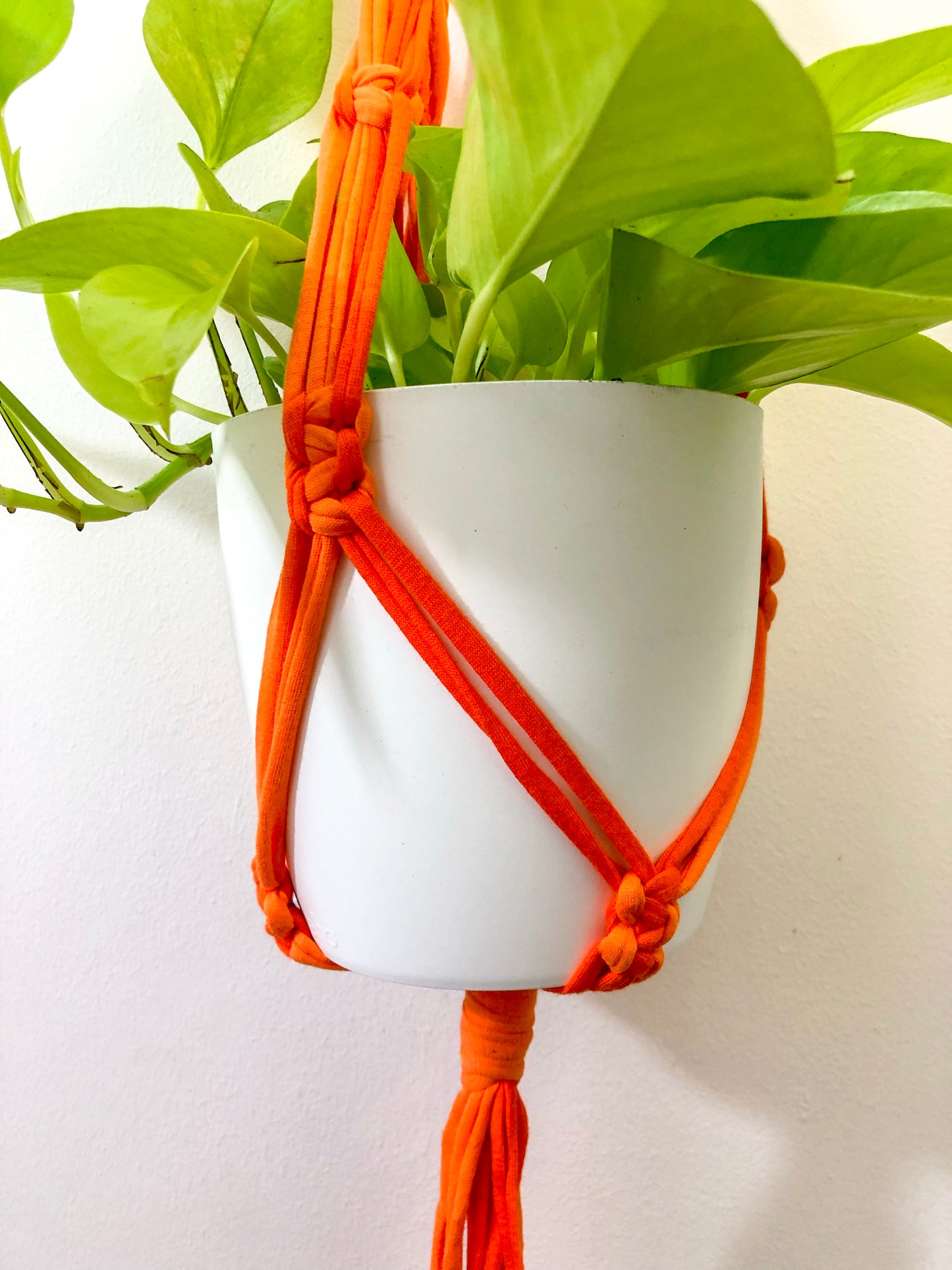 Buy Online Premium Quality and Beautiful Orange Macrame Plant Hanger - Hotpinkhangers