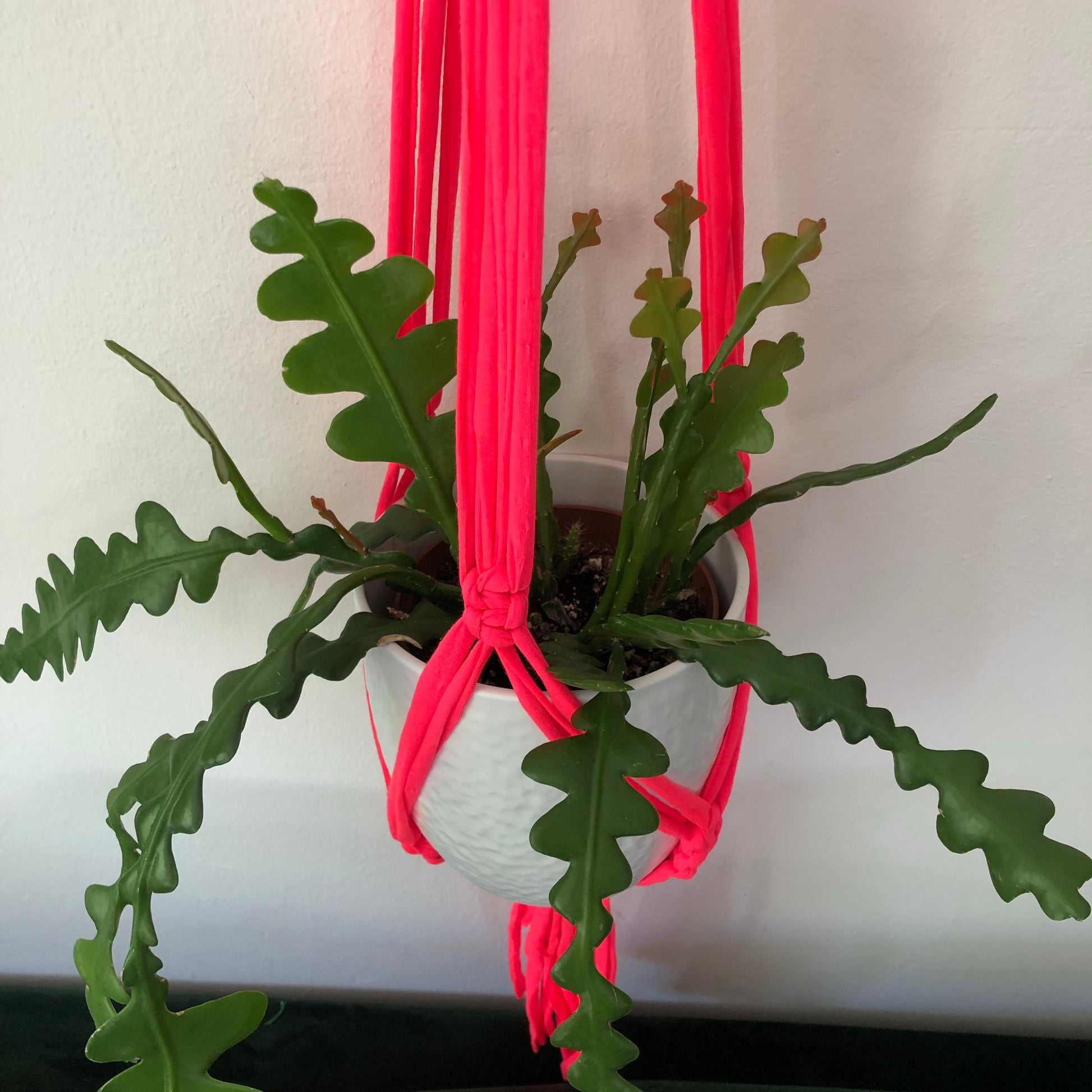 Buy Online Premium Quality and Beautiful The OG Neon Pink Macrame Hanger Twisted - Hotpinkhangers